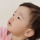 스튜디오디자인밤
