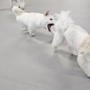 황자반놀이터 이미지