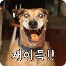 충무코다리찜 | 대구 뭉티기 맛집, 밑반찬도 맛있는 출근길생고기 종로점