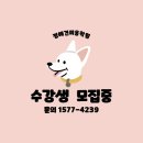 웨스트민스터포항애견미용학원 | 🔥“국비학원보다 훨씬 현실적이다?” 포항에서 애견미용 제대로 배우는 방법 공개🔥