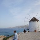 풍차언덕 이미지