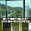 효성약품 | 남양주 유리창 청소 업체 미세촘촘방충망 교체 후기-화도효성해링턴플레이스