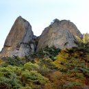 주산지 이미지
