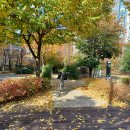 분다 | 공무원 육아휴직 11개월 후기(만추, 바람이 분다)