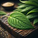 금산 활력의집 | [건강]충남 금산의 깻잎: 전통과 현대가 만나는 건강의 맛