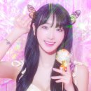 루체드 이미지