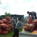 황남경로당 이미지