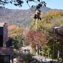 국립오서산자연휴양림 이미지