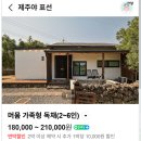 성읍 | 제주도 표선면 독채 펜션, 감성 숙소 추천 '제주야 표선' 아이랑 반려견 동반 3인 가족의 머뭄동 숙박 후기