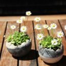 행복만들기 이미지