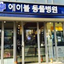 서초동물병원 이미지