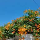 가락로125번길 이미지