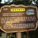 읍성길 이미지