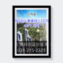 노블클래스 이미지