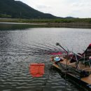 경북수지 이미지