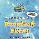 플래쉬 이미지