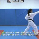 태극태권도 이미지