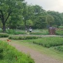 한밭수목원 이미지