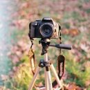 내인생의 봄날 이미지