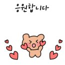 요가(초급) 이미지