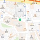 경희궁마인즈아이 | 아큐브 래디언트 차밍 직경작은 그레이렌즈 추천 가격 싼곳 찾음!