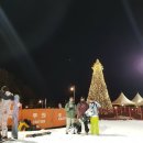 남성 초등학교 | 신림동 성인태권도 — 어릴 때 하다 그만뒀던 어른들이 다시 찾는 이유