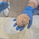 멍멍 스타일 | 강아지 수제간식 광명원데이클래스 멍멍이츠 추천