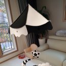 흑백세탁 이미지