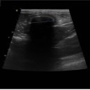 양구동물병원 이미지