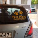 은퇴한 수의사의 저택 이미지