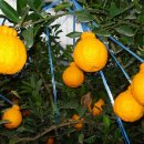 백경농장 이미지