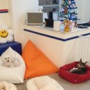 플라이투더뭉 이미지