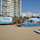 와이엠컴퍼니 이미지