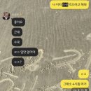 [내돈내산] 리세린지 리본, 수국 다이어트, 효능 설명, 부작용, 설당프리, 6개월 복용 전/후, 오잉 이게...