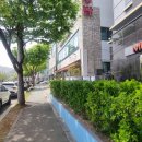 캐슬모텔 | 구미 금오산 금리단길 신상 맛집 오스테리아다니 다녀온 자세한 후기 메뉴판 사진도 있어요