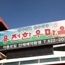 정육혈통