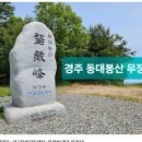 제 257차 11월 한우리 정기산행-경주 무장산 이미지