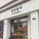 하얀풍차새 이미지