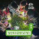숲속곤충마을