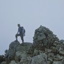 나무쉼터 이미지