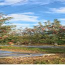 보훈농장 이미지