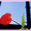 성원상떼빌 휘트니스 이미지