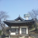 죽림서정이네 네이버블로그