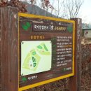 창리근린공원 이미지