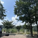 강나루캠핑야영장 | [파주 캠핑] 강나루 야영장(애견 동반)