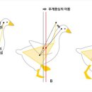 창의수학연구동아리 이미지
