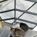 비스타펜션 이미지