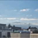 펠리시티 이미지