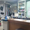 반딧불 동물병원 이미지