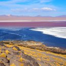 볼리비아, Laguna Colorada 이미지